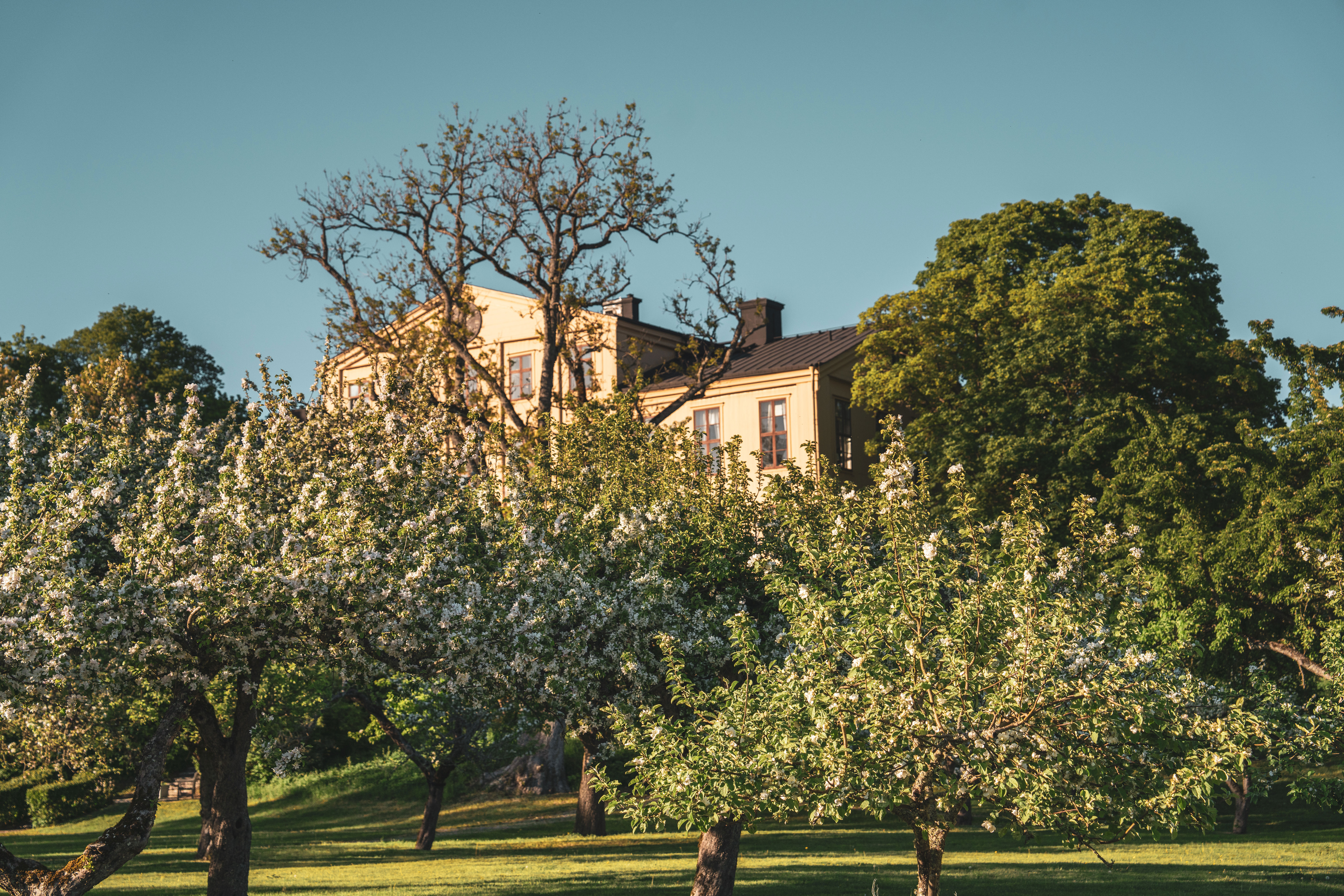 Herrgårdsbyggnaden bland grönskande trädgård