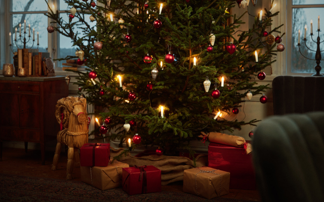 Julgran med paket
