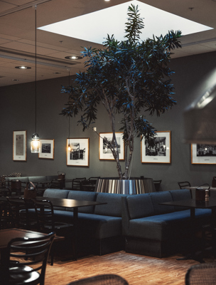 Sköna soffor i en restaurang