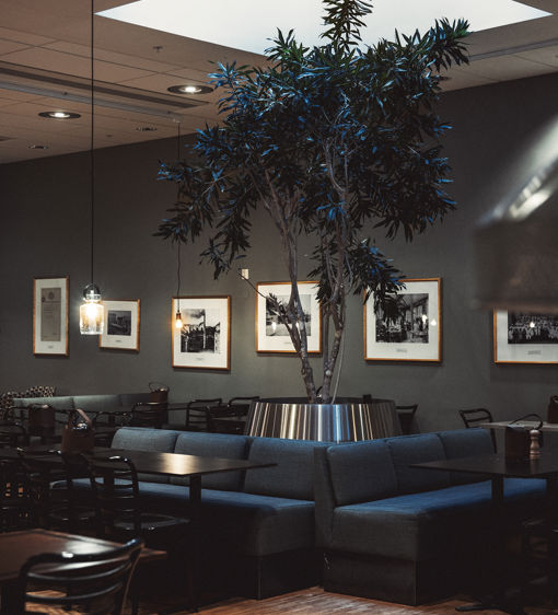 Sköna soffor i en restaurang