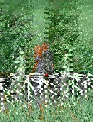 Bröllopspar i grönskande miljöer