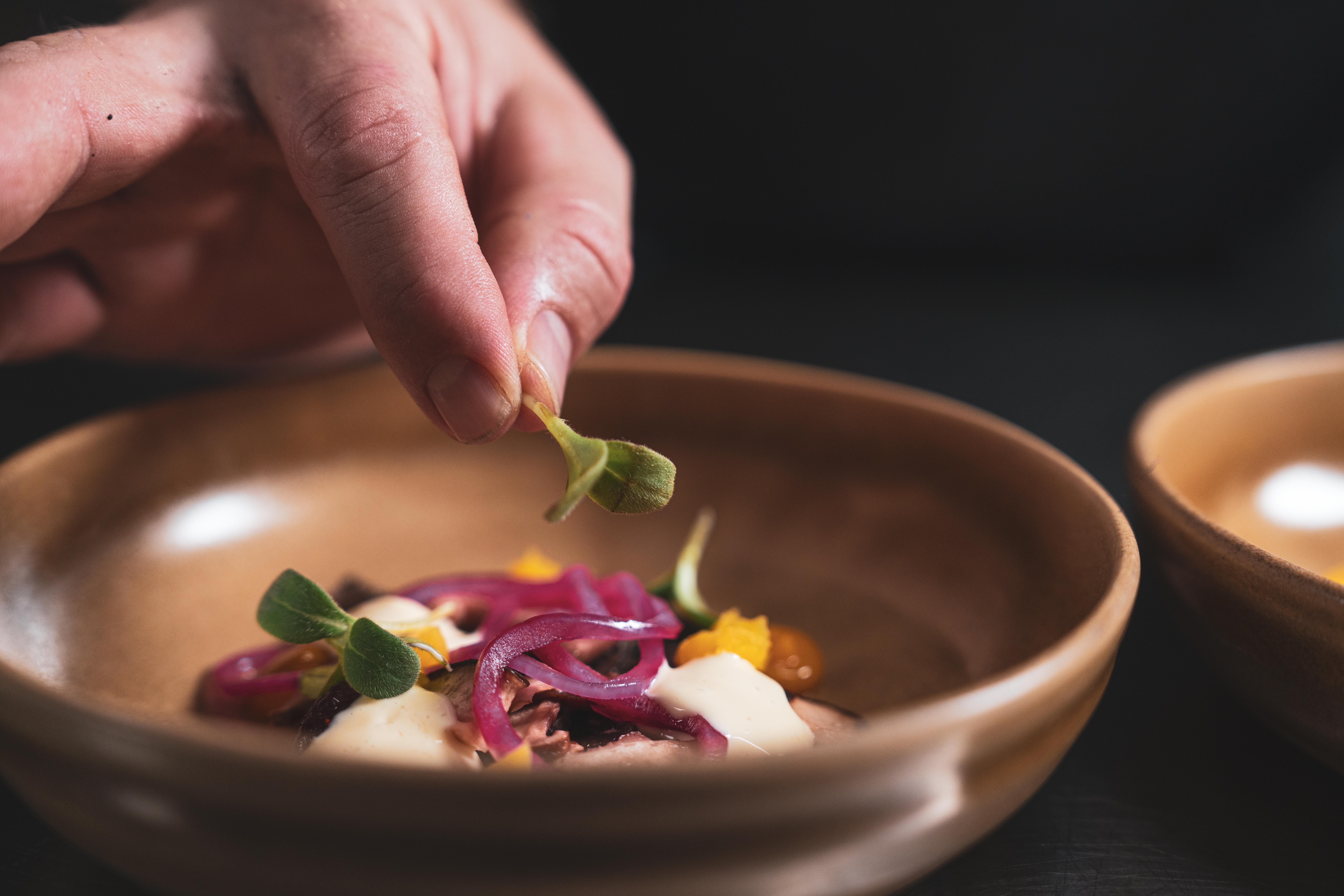 Dekorerar en vacker förrätt med gröna små blad