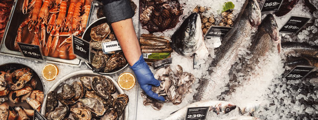 I butikens fiskdisk ligger fiskar och räkor på en isbädd